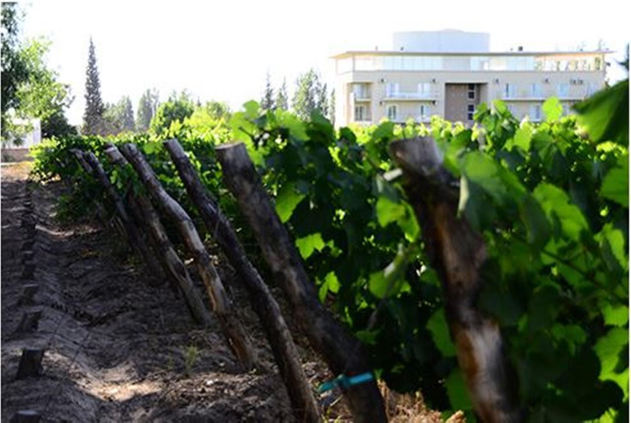 Hotel Finca Hermitage Mendoza Exterior photo